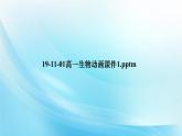 高中生物第一册 《第3节 细胞核的结构和功能》集体备课课件