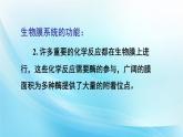 高中生物第一册 《第3节 细胞核的结构和功能》集体备课课件