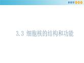 高中生物第一册 《第3节 细胞核的结构和功能》名校名师课件