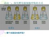 高中生物第一册 《第3节 细胞呼吸的原理和应用》获奖说课课件