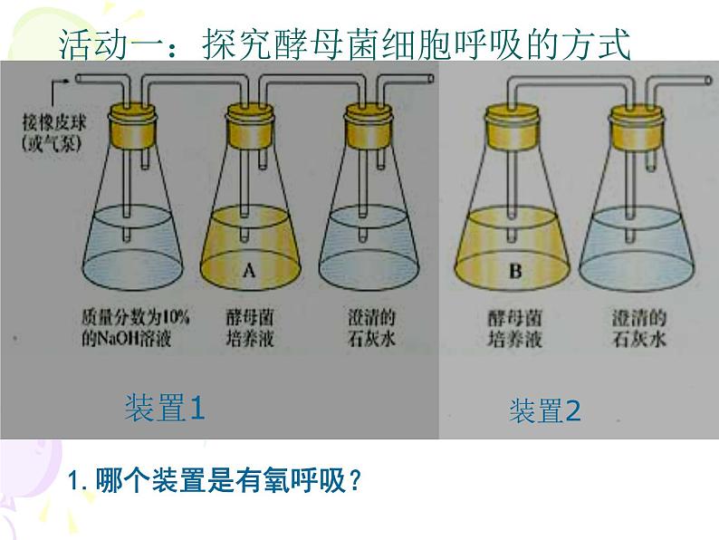 高中生物第一册 《第3节 细胞呼吸的原理和应用》获奖说课课件第4页