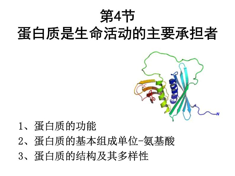 高中生物第一册 《第4节 蛋白质是生命活动的主要承担者》获奖说课课件第3页