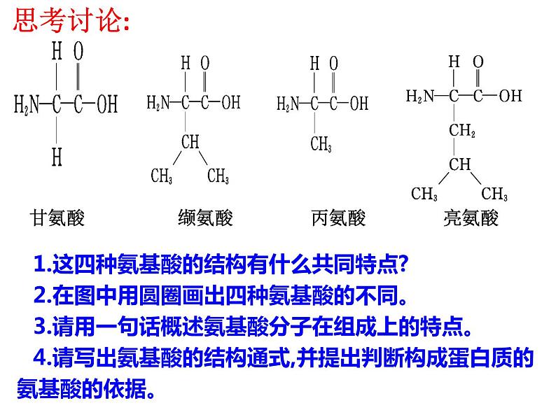 高中生物第一册 《第4节 蛋白质是生命活动的主要承担者》获奖说课课件第7页