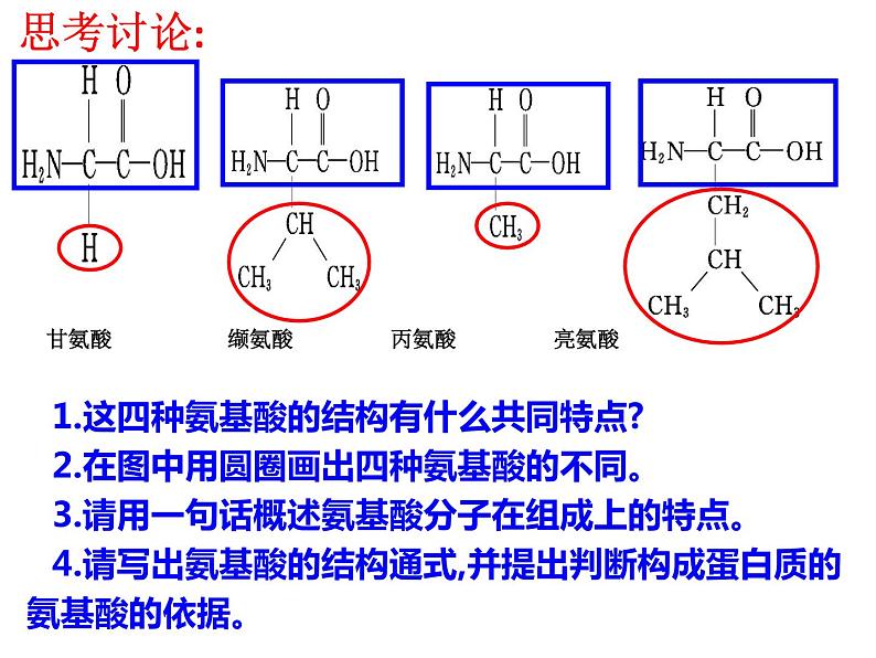 高中生物第一册 《第4节 蛋白质是生命活动的主要承担者》获奖说课课件第8页