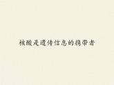 高中生物第一册 《第5节 核酸是遗传信息的携带者》名师优质课课件