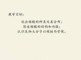 高中生物第一册 《第5节 核酸是遗传信息的携带者》名师优质课课件