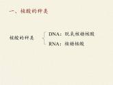 高中生物第一册 《第5节 核酸是遗传信息的携带者》名师优质课课件