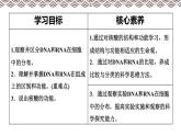 高中生物第一册 《第5节 核酸是遗传信息的携带者》集体备课课件