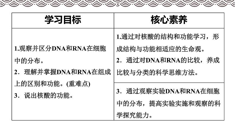 高中生物第一册 《第5节 核酸是遗传信息的携带者》集体备课课件02