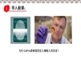 高中生物第一册 《第5节 核酸是遗传信息的携带者》集体备课课件