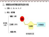 高中生物第一册 《第5节 核酸是遗传信息的携带者》集体备课课件