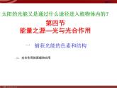 高中生物第一册 《第4节 光合作用与能量转化》名师优质课课件