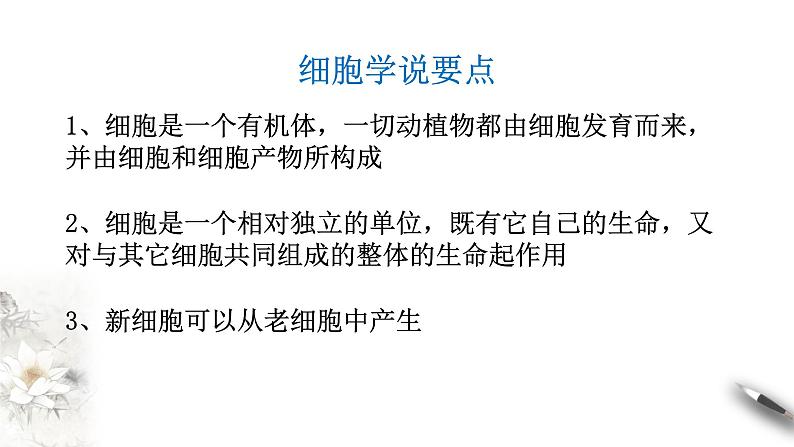 高中生物第一册 1 1 细胞是生命活动的基本单位 课件04