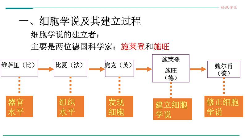 高中生物第一册 1 1细胞是生命活动的基本单位 课件第5页