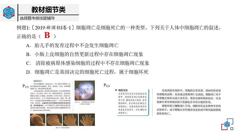 高中生物第一册 1 1细胞是生命活动的基本单位 课件学年第6页