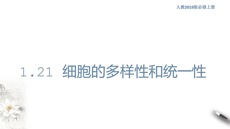 高中生物第一册 1 2 1 细胞的多样性和统一性 课件第1页