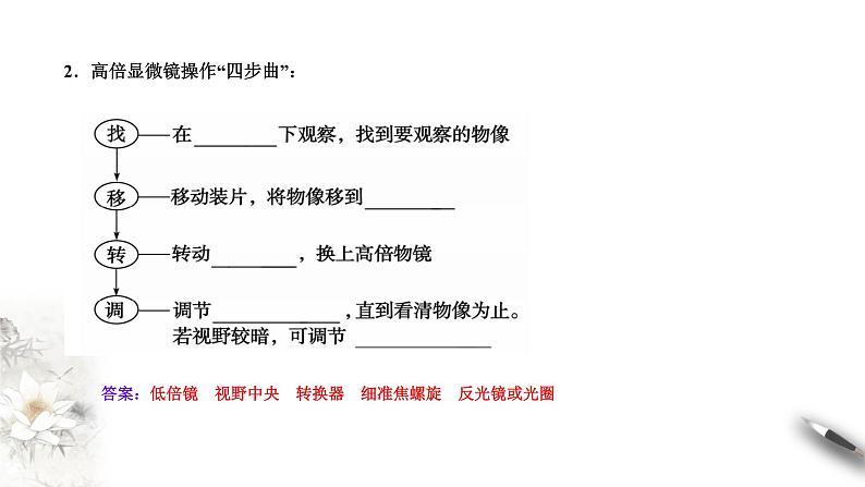 高中生物第一册 1 2 1 细胞的多样性和统一性 课件第7页