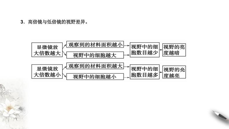 高中生物第一册 1 2 1 细胞的多样性和统一性 课件第8页