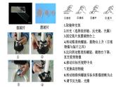 高中生物第一册 1 2细胞的多样性和统一性 课件