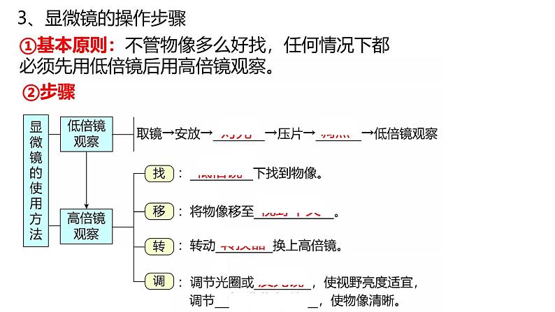 高中生物第一册 1 2细胞的多样性和统一性 课件第8页