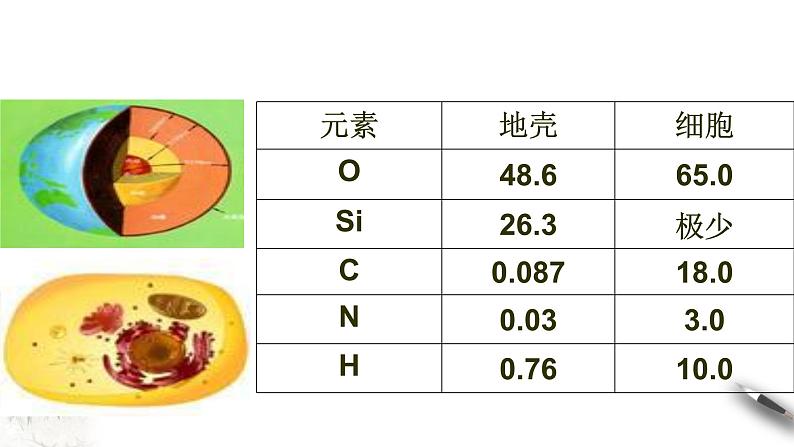 高中生物第一册 2 1 细胞中的元素和化合物 课件02