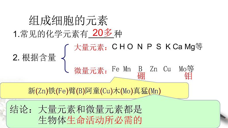 高中生物第一册 2 1 细胞中的元素和化合物 课件05