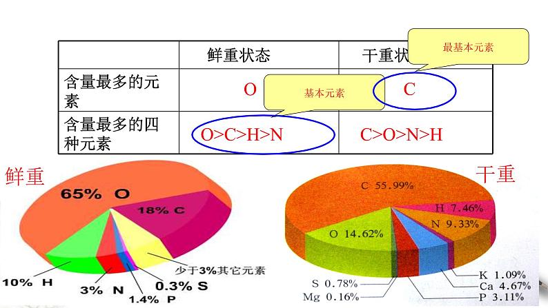 高中生物第一册 2 1 细胞中的元素和化合物 课件07