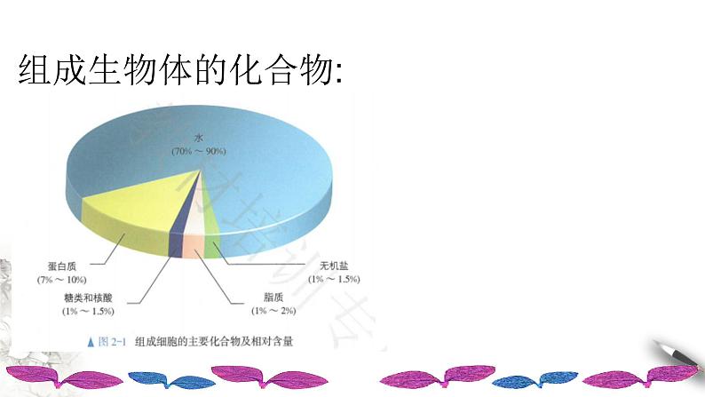 高中生物第一册 2 1 细胞中的元素和化合物 课件08