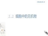高中生物第一册 2 2 细胞中的无机物 课件