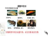 高中生物第一册 2 2 细胞中的无机物 课件