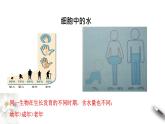 高中生物第一册 2 2 细胞中的无机物 课件