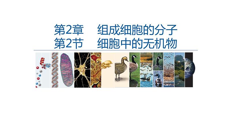 高中生物第一册 2 2细胞中的无机物 课件-2021-2022学年第1页