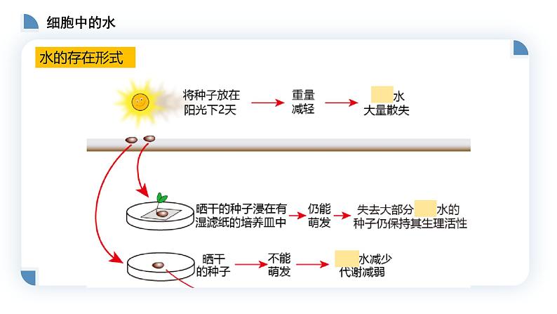 高中生物第一册 2 2细胞中的无机物 课件-2021-2022学年第6页