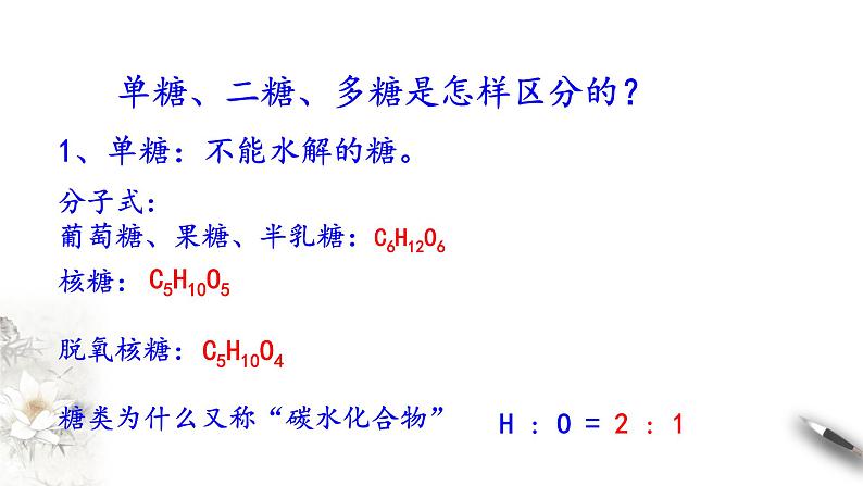 高中生物第一册 2 3 细胞中的糖类和脂质 课件05