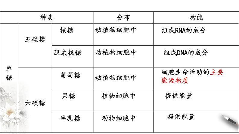 高中生物第一册 2 3 细胞中的糖类和脂质 课件06