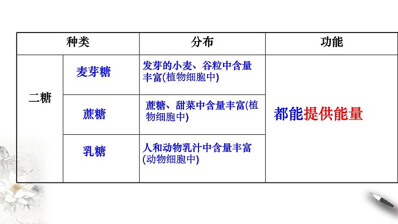 高中生物第一册 2 3 细胞中的糖类和脂质 课件08