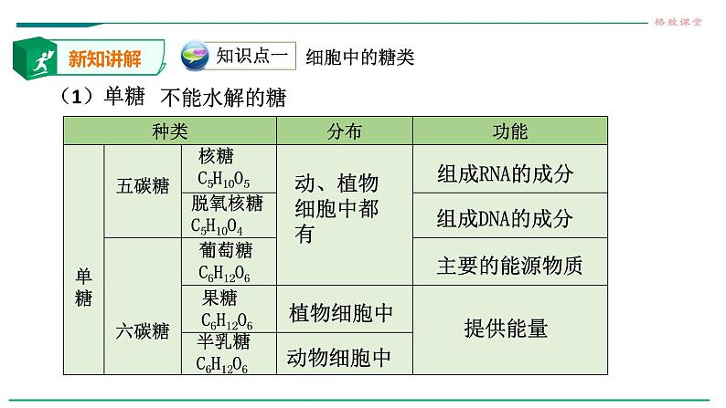 高中生物第一册 2 3细胞中的糖类和脂质课件PPT第6页