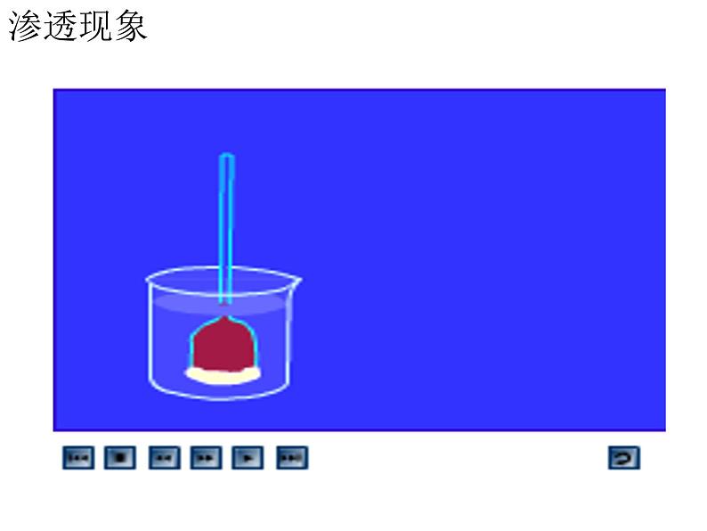 高中生物第一册 《第1节 被动运输》集体备课课件第4页