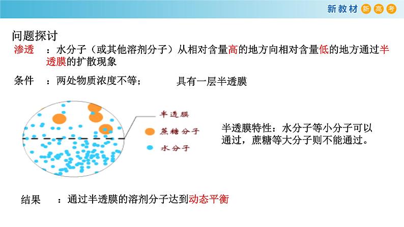 高中生物第一册 《第1节 被动运输》优秀教学课件04