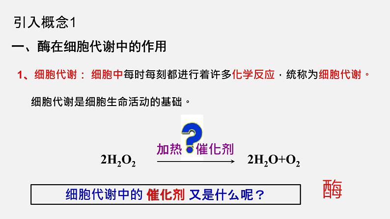 高中生物第一册 《第1节 降低化学反应活化能的酶》多媒体精品课件第5页