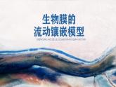 高中生物第一册 《第1节 细胞膜的结构和功能》获奖说课课件