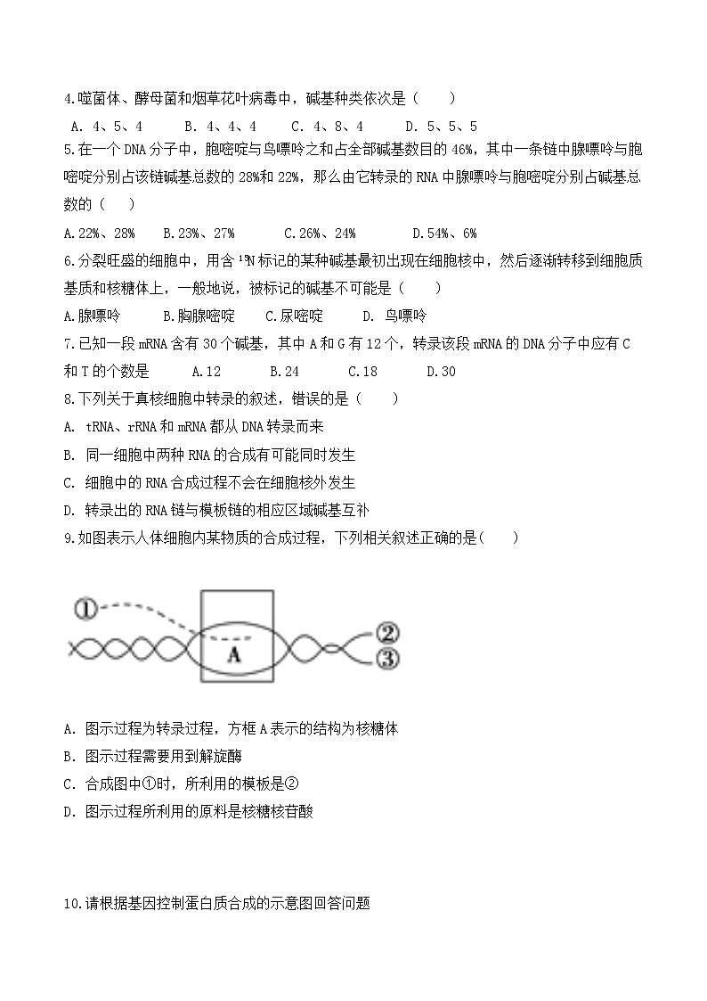 4.1 基因指导蛋白质的合成 (一) -高一生物下学期同步教学优质学案（人教版必修2）第3页