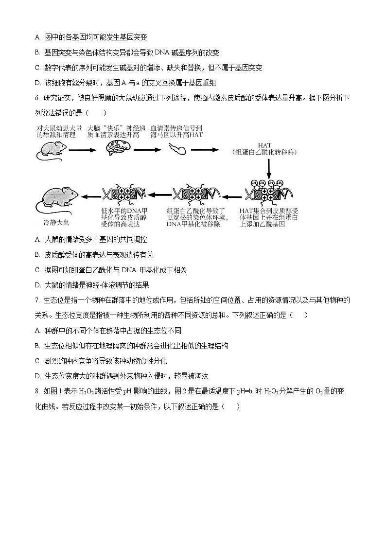 2023杭州地区（含周边）重点中学高三一模生物试题含解析02