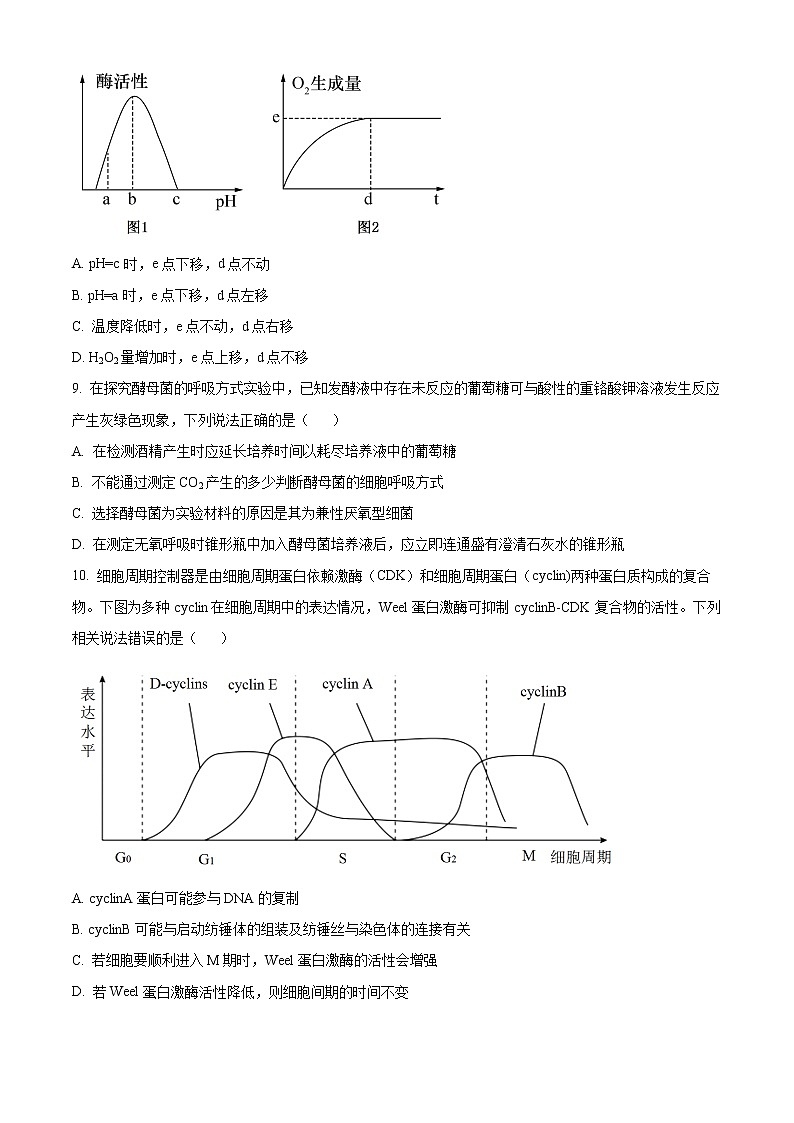 2023杭州地区（含周边）重点中学高三一模生物试题含解析03