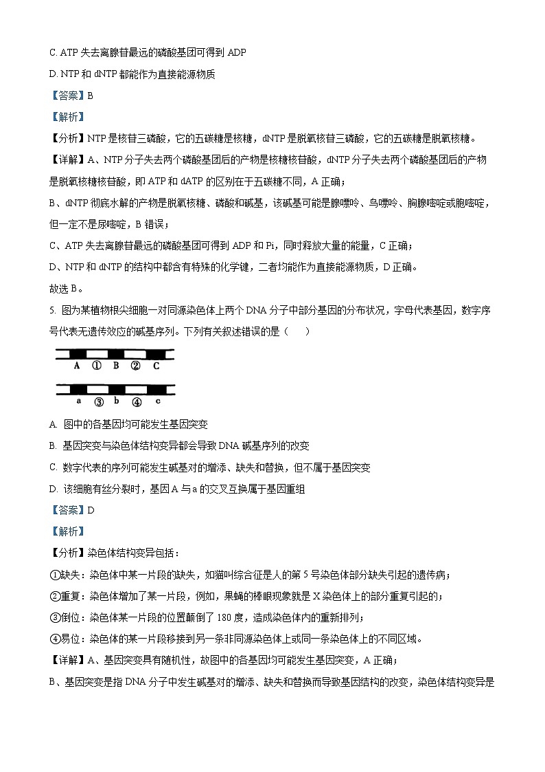 2023杭州地区（含周边）重点中学高三一模生物试题含解析03