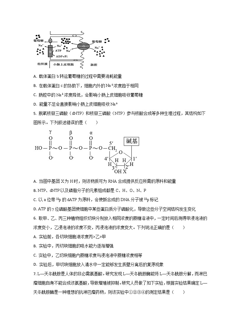 2022菏泽高二下学期期末考试生物试题含解析02