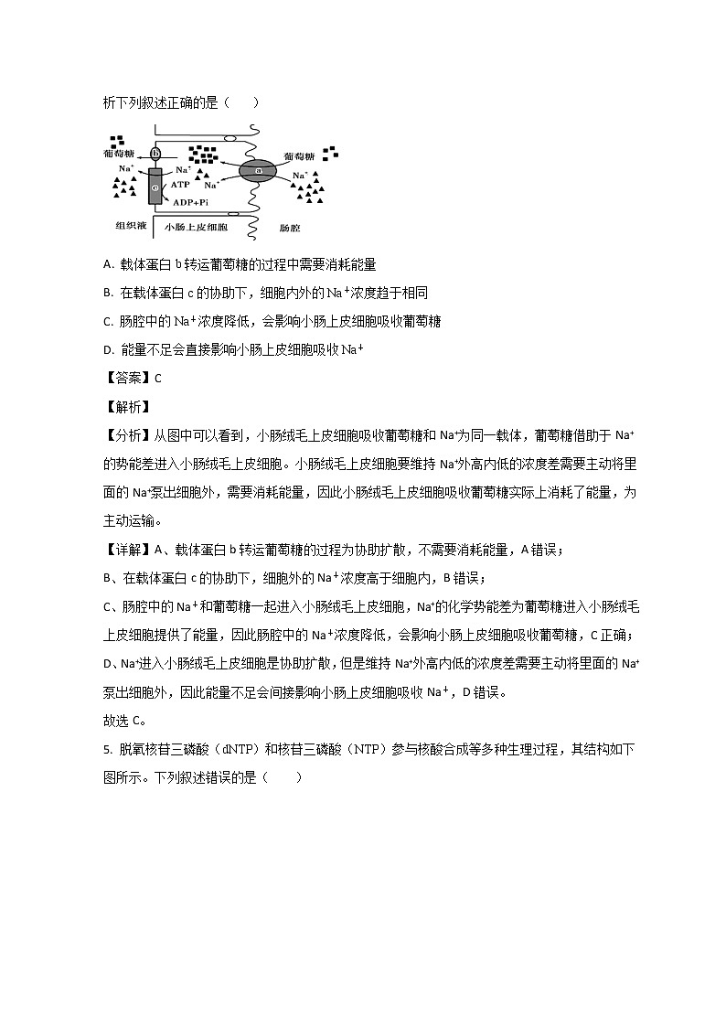 2022菏泽高二下学期期末考试生物试题含解析03