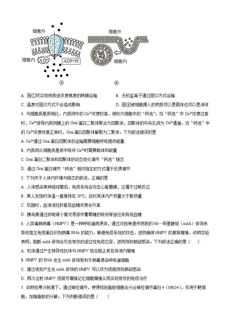 2022镇江五校高二下学期期末考试生物含解析02