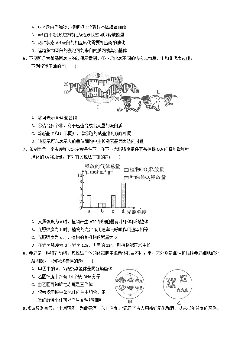2022-2023学年广东省汕头市金山中学高三上学期第二次月考试题生物含答案02