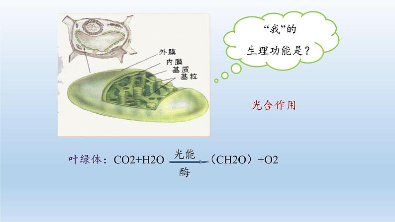 高中生物第一册 《第1节 降低化学反应活化能的酶》获奖说课课件第6页